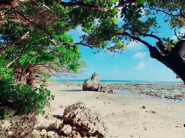 沖縄の魅力！「東洋のガラパゴス」と呼ばれる理由とは？1